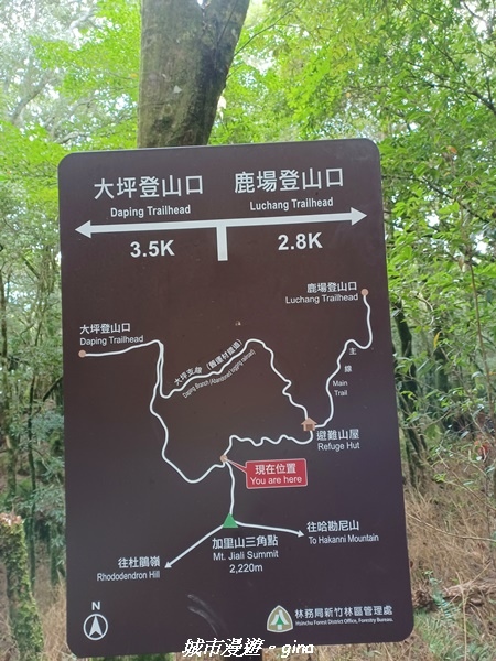 20221010_115822.jpg 20221010_115822.jpg