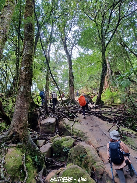 20221010_115850.jpg 20221010_115850.jpg