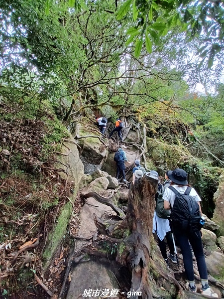 【苗栗南庄】裊裊雲霧台版富士山。 No34小百岳~加里山。 