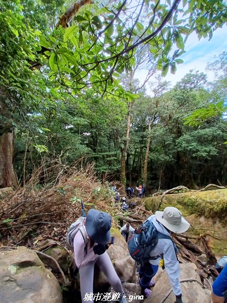 【苗栗南庄】裊裊雲霧台版富士山。 No34小百岳~加里山。 