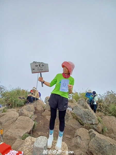 【苗栗南庄】裊裊雲霧台版富士山。 No34小百岳~加里山。 