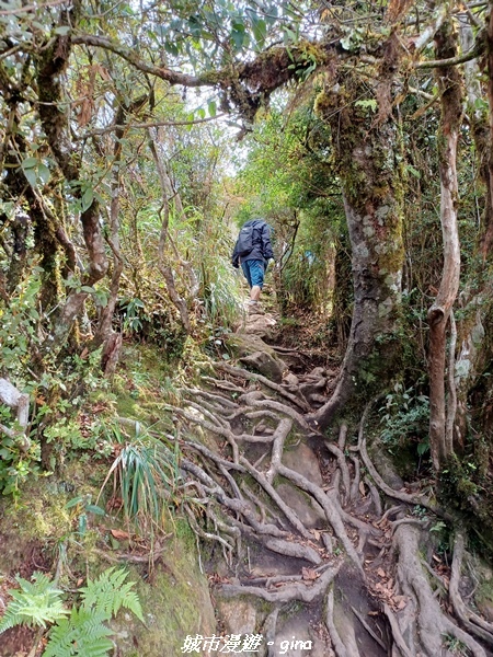 【苗栗南庄】裊裊雲霧台版富士山。 No34小百岳~加里山。 