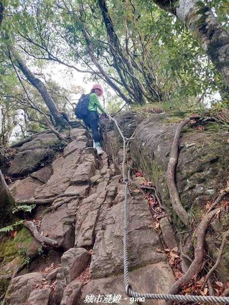 【苗栗南庄】裊裊雲霧台版富士山。 No34小百岳~加里山。 