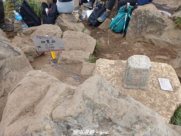 20221010_135031.jpg 20221010_135031.jpg