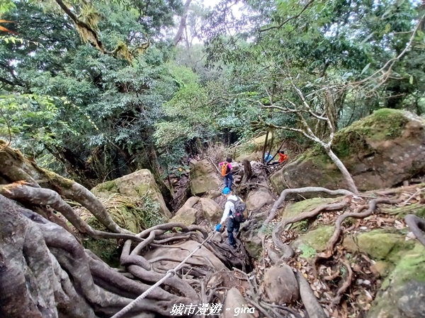 【苗栗南庄】裊裊雲霧台版富士山。 No34小百岳~加里山。 