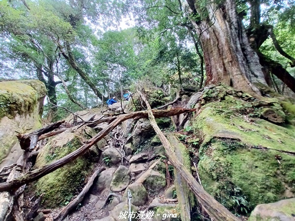 20221010_143243.jpg 20221010_143243.jpg