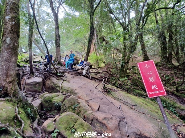 20221010_143618.jpg 20221010_143618.jpg