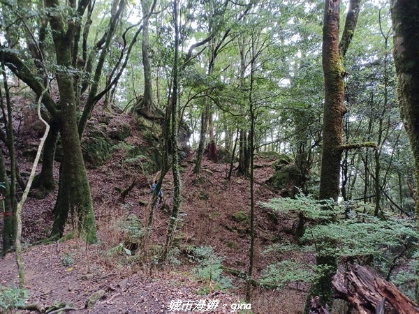 20221010_143754.jpg 20221010_143754.jpg