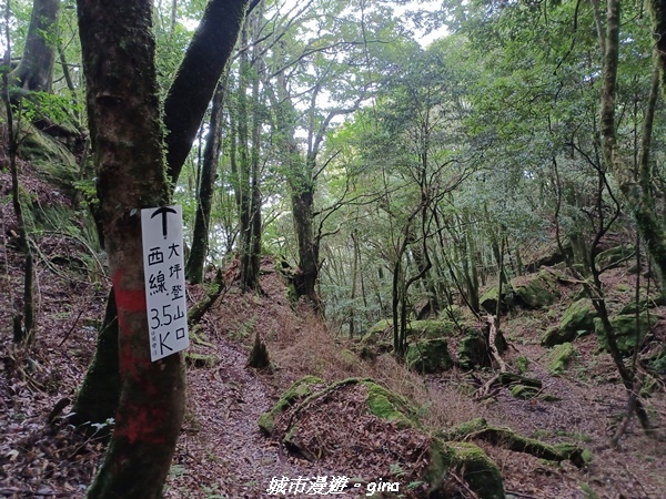 【苗栗南庄】裊裊雲霧台版富士山。 No34小百岳~加里山。 