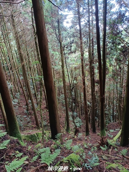 20221010_145945.jpg 20221010_145945.jpg