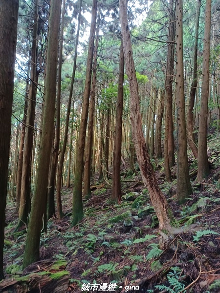 20221010_151741.jpg 20221010_151741.jpg