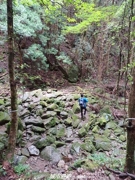 20221010_152252.jpg 20221010_152252.jpg