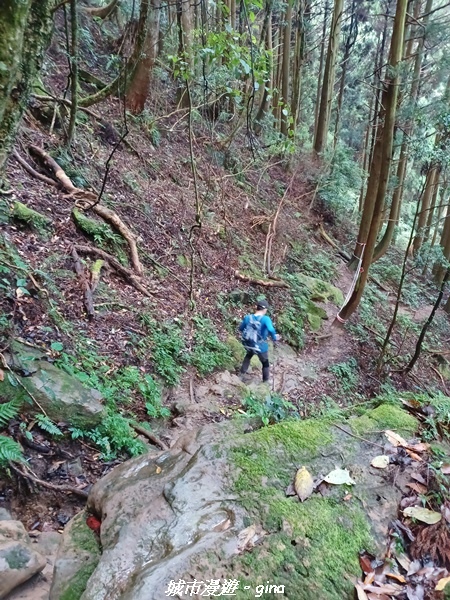 20221010_153214.jpg 20221010_153214.jpg