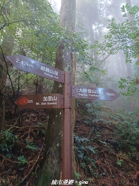 20221010_155316.jpg 20221010_155316.jpg