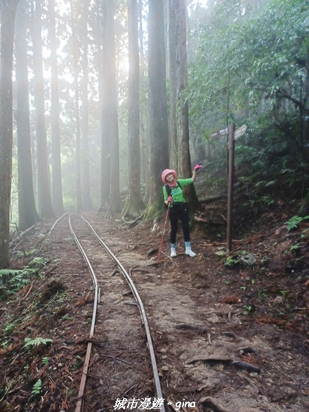 20221010_155545.jpg 20221010_155545.jpg