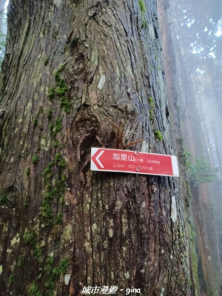 20221010_155247.jpg 20221010_155247.jpg