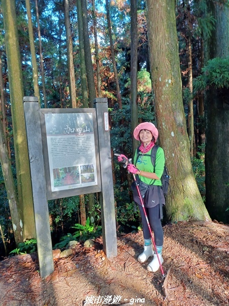 20221010_160005.jpg 20221010_160005.jpg