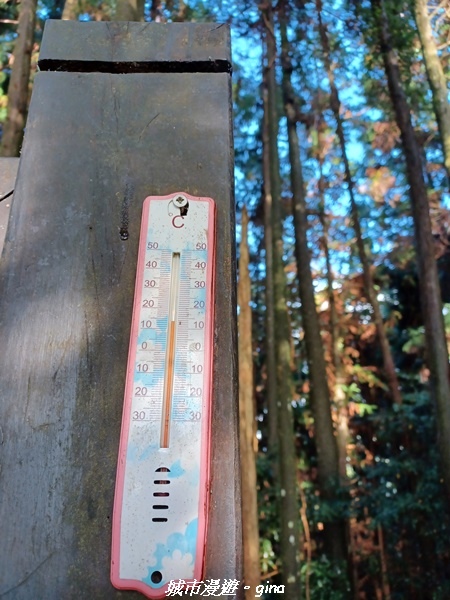 20221010_160018.jpg 20221010_160018.jpg