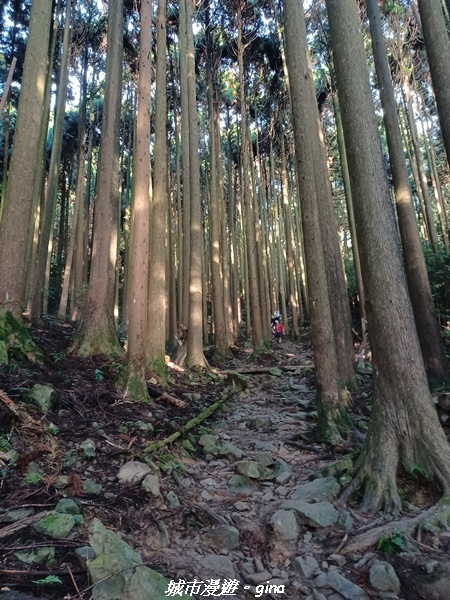 20221010_162905.jpg 20221010_162905.jpg