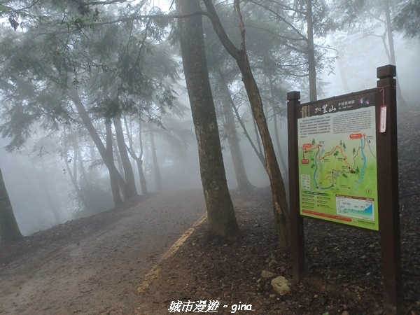 【苗栗南庄】裊裊雲霧台版富士山。 No34小百岳~加里山。 