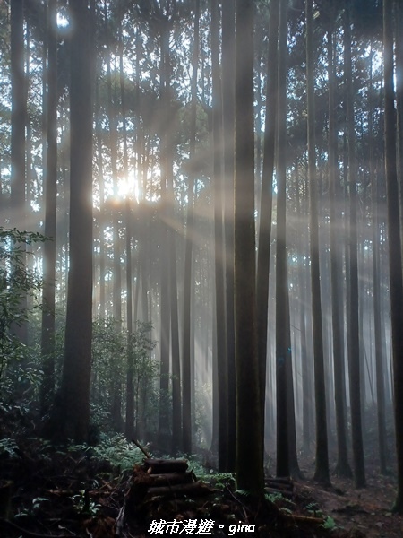 20221010_162710.jpg 20221010_162710.jpg