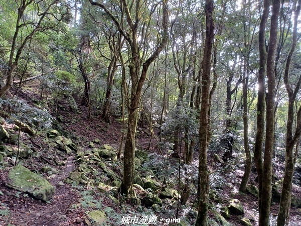 20221010_161056.jpg 20221010_161056.jpg