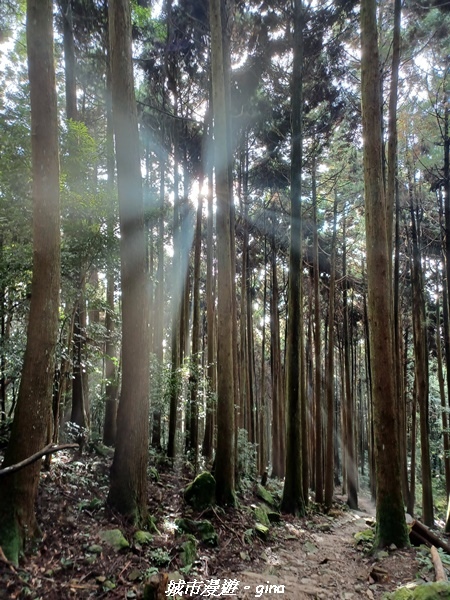 20221010_161349.jpg 20221010_161349.jpg