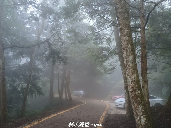 20221010_163901.jpg 20221010_163901.jpg