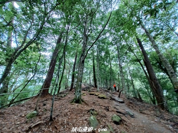 20221015_085004.jpg 20221015_085004.jpg