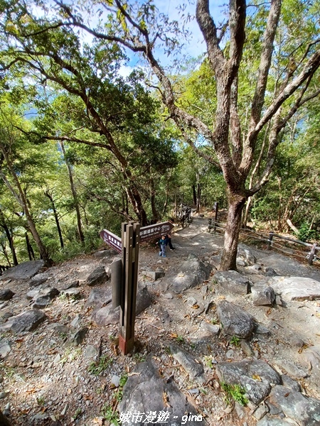 20221015_091154.jpg 20221015_091154.jpg