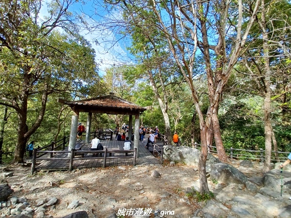 20221015_091235.jpg 20221015_091235.jpg