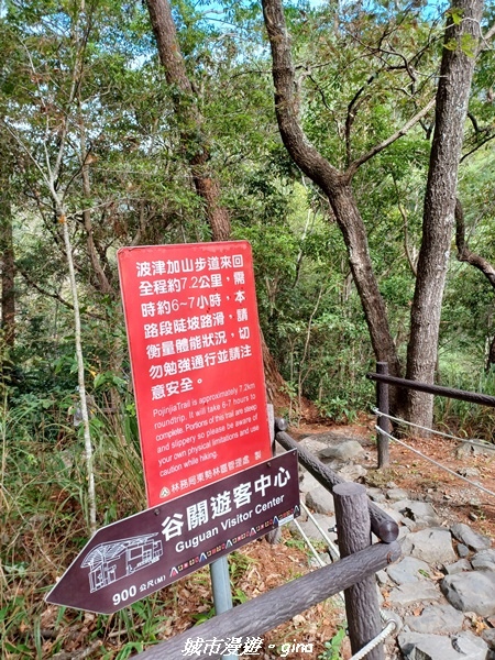 20221015_091913.jpg 20221015_091913.jpg