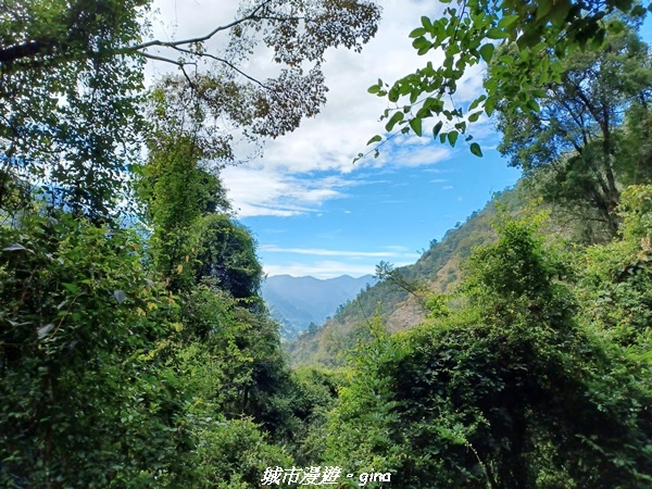 20221015_094135.jpg 20221015_094135.jpg