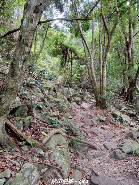 20221015_095330.jpg 20221015_095330.jpg