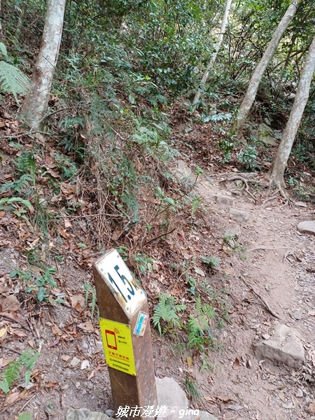 20221015_102246.jpg 20221015_102246.jpg