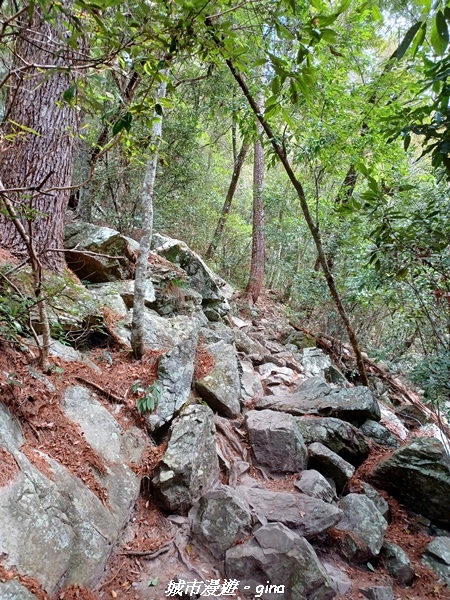 20221015_101329.jpg 20221015_101329.jpg