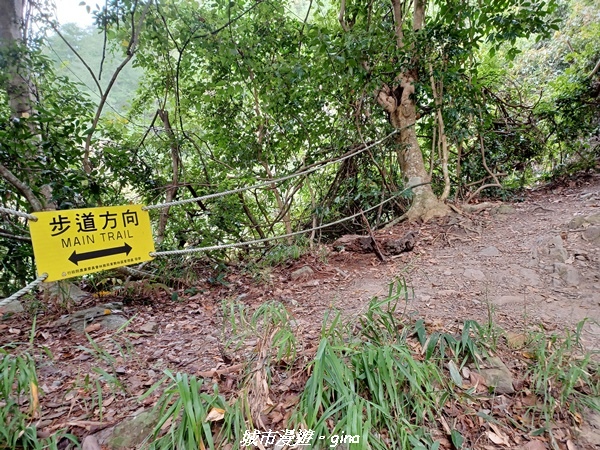 20221015_102811.jpg 20221015_102811.jpg