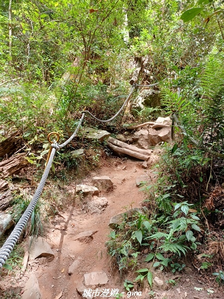 20221015_105603.jpg 20221015_105603.jpg