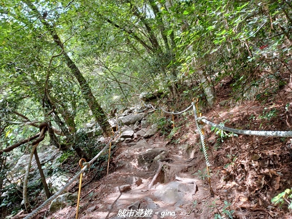 20221015_105953.jpg 20221015_105953.jpg