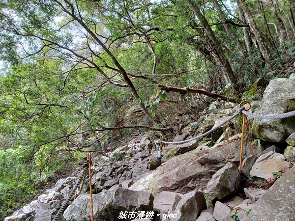 20221015_110105.jpg 20221015_110105.jpg