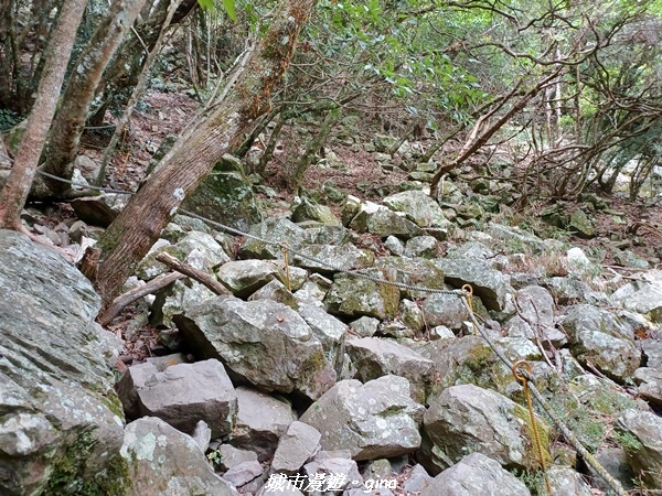 20221015_110948.jpg 20221015_110948.jpg