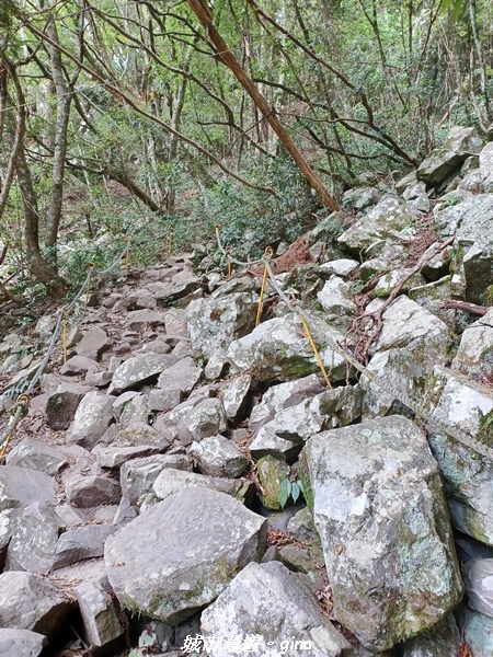 20221015_110230.jpg 20221015_110230.jpg