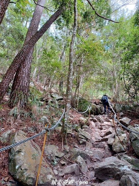 20221015_111239.jpg 20221015_111239.jpg