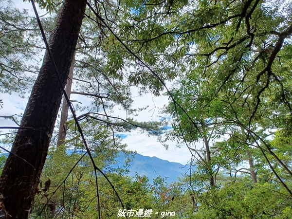 20221015_111755.jpg 20221015_111755.jpg