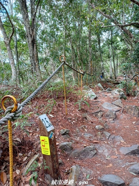 20221015_112616.jpg 20221015_112616.jpg