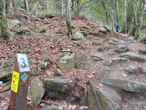 20221015_113837.jpg 20221015_113837.jpg