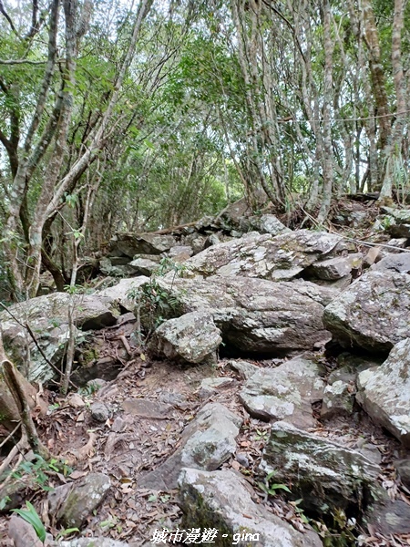 20221015_115639.jpg 20221015_115639.jpg