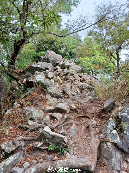 20221015_120322.jpg 20221015_120322.jpg