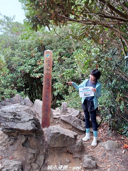 20221015_130253.jpg 20221015_130253.jpg