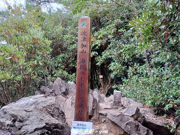 20221015_130316.jpg 20221015_130316.jpg